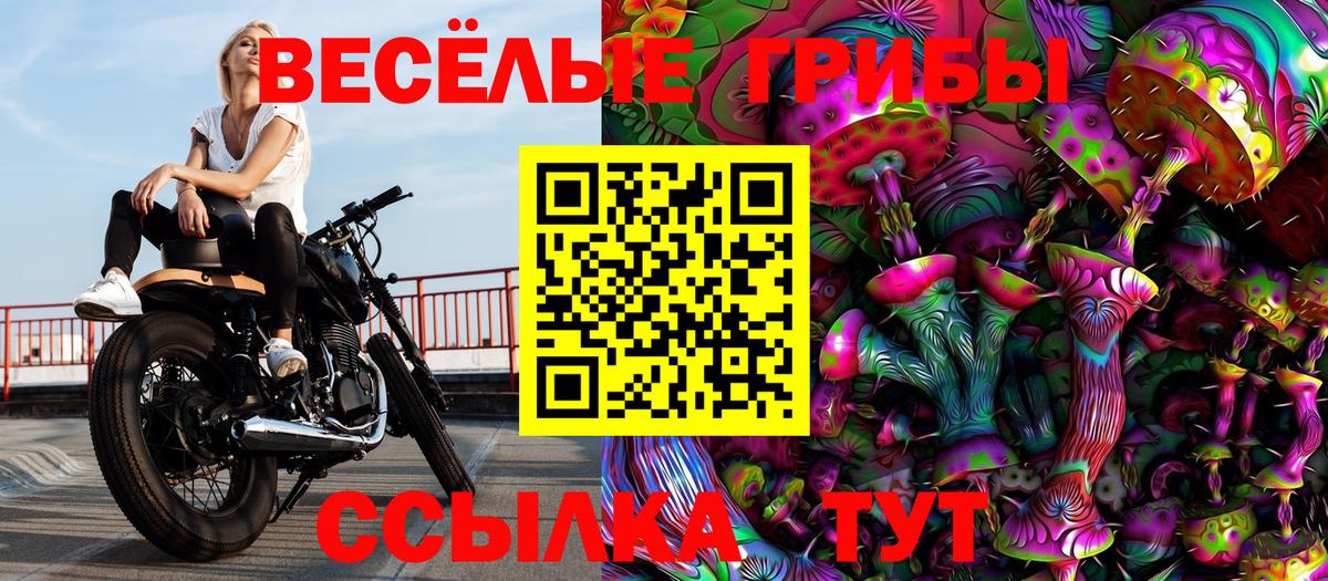 Галлюциногенные грибы MAGIC MUSHROOMS  Галлюциногенные грибы Psilocybe  Вход с VPN  Славгород 